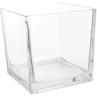 FUTUREORYY Blumenvase Groß aus Glas Eckige Glasvase Hydroponische Vase für Tischdeko Robust und Modern für Büro und Balkon