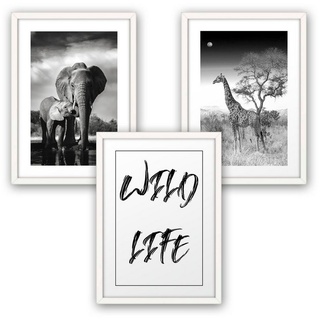 Kreative Feder Poster, Afrika, Savanne, Elefant, Giraffe, Natur, Landschaft, Tiere (Set, 3 St), 3-teiliges Poster-Set, Kunstdruck, Wandbild, optional mit Rahmen, wahlw. in DIN A4 / A3, 3-WP059