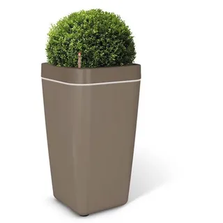 Blumenkasten braun