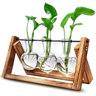Surmounty Blumenvase Vintage Deko Vasen, Glas Pflanzer Glasvase mit Holz Halter, Holz Propagation Station Reagenzglas Tischvase, Geschenk für Pflanzenliebhaber