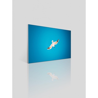 Akustikbild "Vogel im Himmel" - Alurahmen , 200x100 cm , 65mm