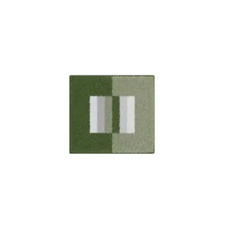 Grund Badematte , grün , Synthetik , Maße (cm): B: 55 H: 2