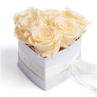 ROSEMARIE SCHULZ Heidelberg Kunstblume Infinity Rosen Box Herz 6 ewige Rosen Ich liebe Dich Geschenk Frau Rose, ROSEMARIE SCHULZ Heidelberg, Höhe 10 cm, Valentinstag Geschenk Frau Herz, Made in Germany weiß