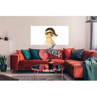 MuchoWow Poster Ente - Gelb - Tiere - Natur, (1 St), Bild für Wohnzimmer, Schlafzimmer, Wandposter, Ohne Rahmen, Wanddeko bunt 120 cm x 60 cm