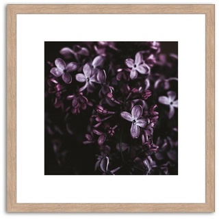 artissimo Bild mit Rahmen Bild gerahmt 30x30cm / Design-Poster inkl. Holz-Rahmen / Wandbild, Blumen: Lila Blüten III lila