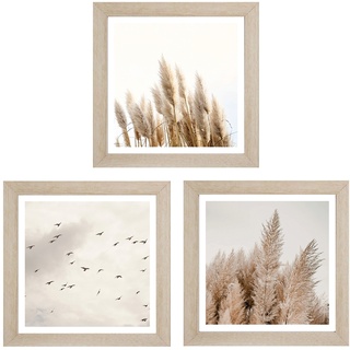 Bilder-Set 3-teilig TRISTAN, Braun - Creme - 23 x 23 cm - Pampasgras und Vögel
