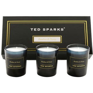 Ted Sparks Mini Candle Geschenkset Bamboo & Peony Duftkerzen im Glas, 3er Set, TED-GB-C03