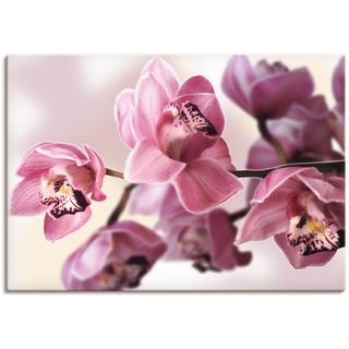Wandbild »Rosa Orchidee«, Blumenbilder, (1 St.), 25543407-0 pink B/H: 70 cm x 50 cm
