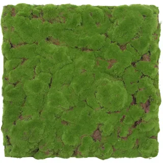 JANGAL Wandpaneel Jangal Modular Wall grün 2 St. 52 x 52 cm