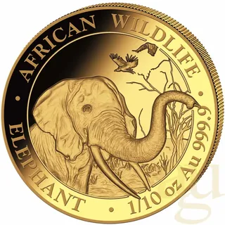 1/10 Unze Goldmünze Somalia Elefant 2018