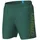Herren Fundamentals Logo R MANGROVE-ARTIC LIME S