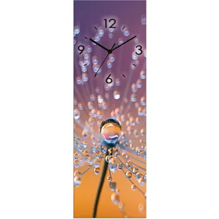 Wanduhr ARTLAND "Glasuhr Pusteblumen Tautropfen" Wanduhren Gr. B/H/T: 20 cm x 60 cm x 1,8 cm, Funkuhr, orange Wanduhren wahlweise mit Quarz- oder Funkuhrwerk, lautlos ohne Tickgeräusche