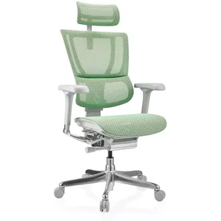 HJH Office Ergohuman Slim G Gen2 Netzstoff Grün