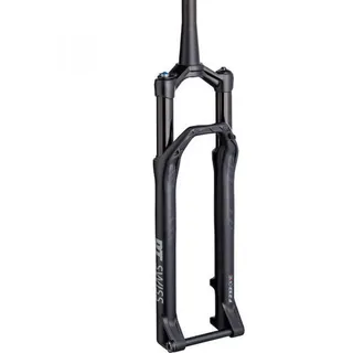DT Swiss F 232 One 29 Zoll 110 mm schwarz