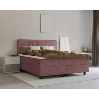 Boxspringbett LEONIQUE "Jeanne" Komplettbetten Gr. Samtvelours, Liegefläche B/L: 180 cm x 200 cm, H2, Taschen-Federkernmatratze, rosa (rosé) Boxspringbetten ohne Bettkasten inkl. Topper mit Taschen-Federkernmatratze