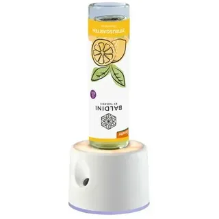 Baldini Airfriend Two mit Raumspray Zitrusgarten 50ml