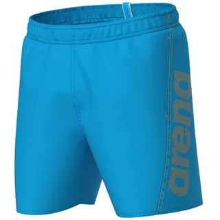 Arena Fundamentals Logo R Boxer Beach Shorts