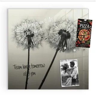 Primedeco Magnettafel Glas Pusteblume Schwarz Pinnwand Whiteboard beschreibbar, (Inklusive Stift, Magnete und Montagematerial, 1-tlg., 9 verschiedene Größen), Magnetisch und Beschreibbar schwarz 50 cm x 50 cm
