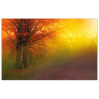 Teppich Bunter Herbst - Waldlandschaft bei Nebel in Regenbogenfarben, Wallario, rechteckig, rutschfest gelb 90 cm x 140 cm
