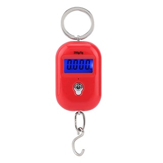 Mini-Elektronikwaage, Elektronische Digitalwaage, Tragbare Mini-Taschen-Schlüsselanhänger-Waage, Küchenwaage, Lebensmittel-Gewichtsmesser, Messwerkzeuge mit Haken, 25 Kg/5 G