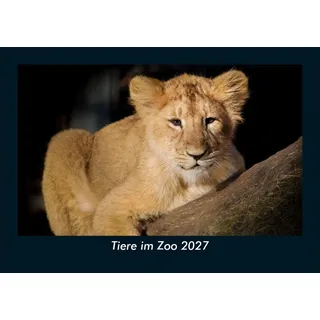 Vero Kalender Tiere im Zoo 2027 Fotokalender DIN A5