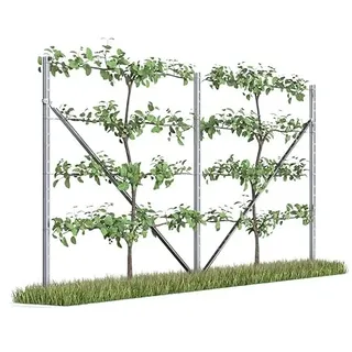 Kiwiri RANKI ™ - Rankhilfe für Kletterpflanzen - Spalier auf Plantagenstandard für Wein, Kiwi, Kiwibeeren, Rosen, Clematis, Spalierobst (2-Feld (4 Meter))