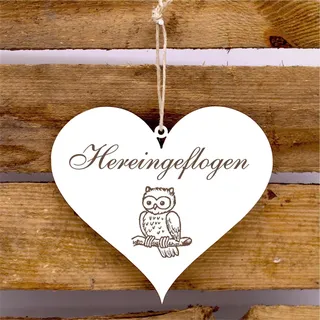 Schild Herz Hereingeflogen - Türschild mit Motiv Eule
