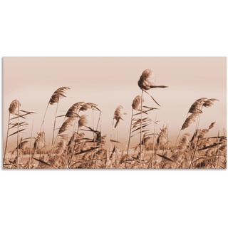 Wandbild ARTLAND "Gräser" Bilder Gr. B/H: 40 cm x 20 cm, Alu-Dibond-Druck, beige (natur) Bild Leinwandbild Bilder als Alubild, Leinwandbild, Wandaufkleber oder Poster in versch. Größen