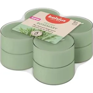 Bolsius - Rosemary - Maxi Duft Theelichter - 8 Stück - Brenndauer von 8 Stunden - Natürliche Extrakte – Enthält Veganes Wachs – Ohne Palmöl