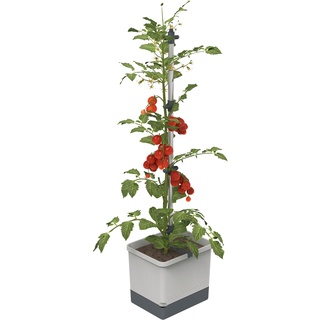 Gusta Garden Tom Tomato Tomatentopf Hellgrau - Pflanzentopf mit Rankhilfe, Bewässerungssystem & Befestigungshaken - 4,5L Wassertank & 20L Erdvolumen