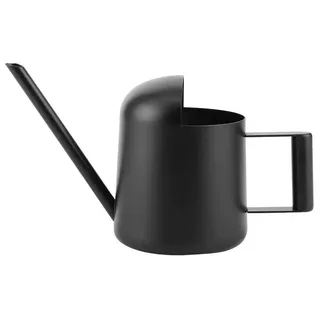 Omgoods - Gießkanne 300 ml - Mini-Gießkanne aus Edelstahl - Geeignet für Innen- und Außenbereich - Für Zimmerpflanzen/Gartenpflanzen - Langleb...