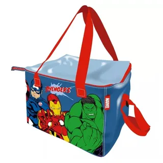 PAW PATROL Picknickkorb 5 Liter Thermo Kühltasche Kindergarten Tagesmutter Tasche 22,5cm