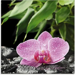 Glasbild ARTLAND "Rosa Orchidee auf schwarzen Zen Steinen" Bilder Gr. B/H: 50 cm x 50 cm, Blumen, 1 St., pink Glasbilder