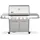 FS38 S Gasgrill Edelstahl