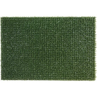 ID Mat Astroclassic Fußmatte, 100% Polyethylen, grün, 40 x 60 cm
