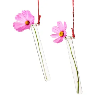Tuuters 5 Stück Reagenzglashalter für Blumen zum Aufhängen mit Reagenzglas
