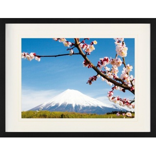 1art1 Bild mit Rahmen »Berge - Fuji Berg, Pflaumenblüten« 80 cm x 60 cm