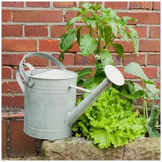 Antikas Gartenpflege-Set Gießkanne aus Zink für den Garten, Blumen-Gießkanne, Zinkkanne, 3,6