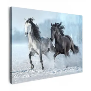 LEINWANDBILD Pferde - Winter - Tiere - Natur - Schnee Wandbilder 80x60 cm