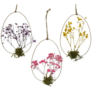 Decoris season decorations Hängedekoration, Trockenblumen Hängedeko in ovalem Metallring 12,5cm 1 Stück sortiert gelb|grün|lila|rosa