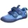 Bär Blau 33