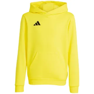 adidas Entrada 26 Team Yellow 152