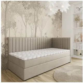 masseno ARIS 100 x 200 cm H2 Beige