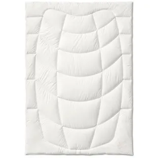 Kauffmann Bambus 155x220 cm B: 155 H: 5