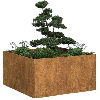 vidaXL Rostig 80 x 80 x 40 cm Braun