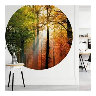 K&L Wall Art Fototapete Fototapete Goldener Herbst Natur Wald Vliestapete Rund Tapete, Herbstgold Tapete bunt 2.36 m x 2.36 m