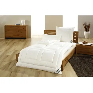 fan Vierjahreszeiten-Steppbett 155 x 220 cm Beige