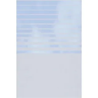 Traumgarten Sichtschutz Glas 120 x 180 cm Transparent