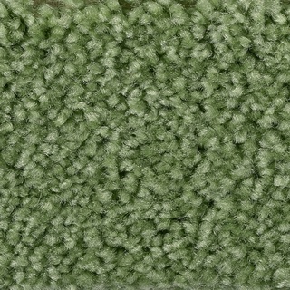 BODENMEISTER Teppichboden "Veloursteppich Pegasus" Teppiche Wohnzimmer, Schlafzimmer, Kinderzimmer, Breite 400500 cm Gr. B/L: 600 cm x 500 cm, 10 mm, 1 St., grün (dunkel grün) Teppichboden