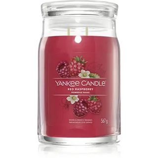 Yankee Candle Red Raspberry große Kerze 567 g